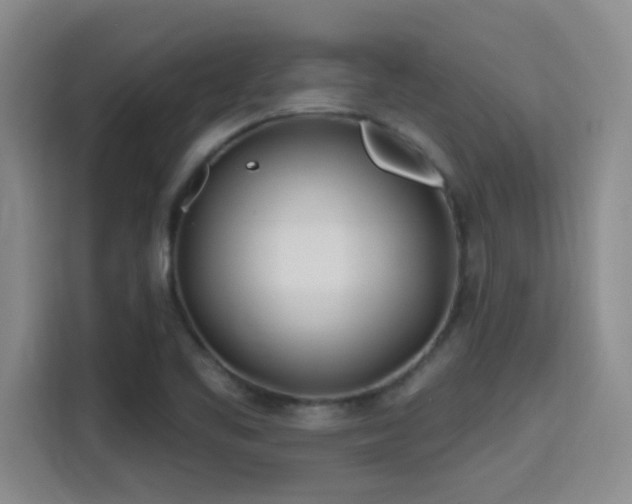 X0000115691461200911191104