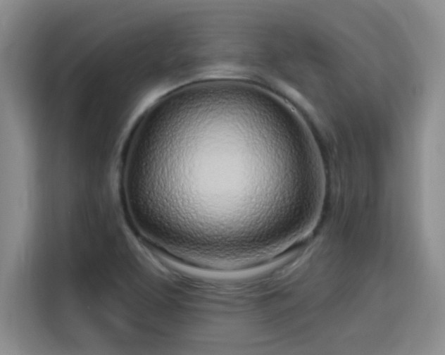 X0000115691463200911191104