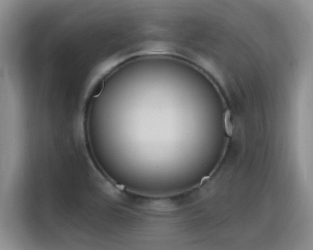 X0000115691464200911191104
