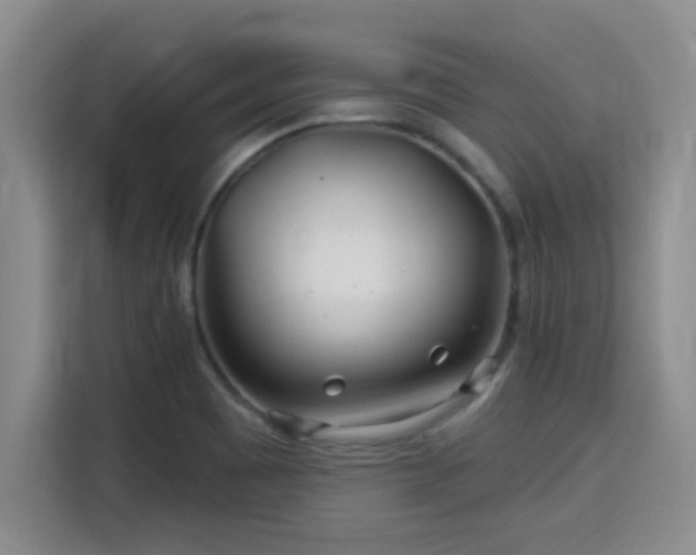 X0000115691465200911191104