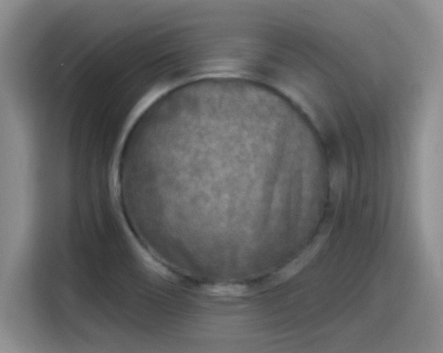 X0000115691466200911191104