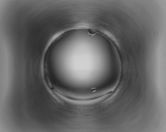 X0000115691469200911191104