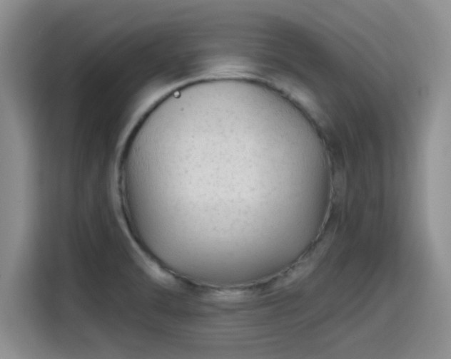 X0000115691470200911191104