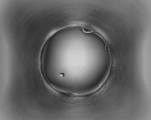 X0000115691471200911191104