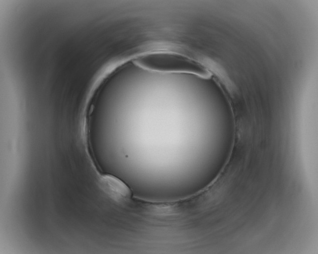 X0000115691472200911191104