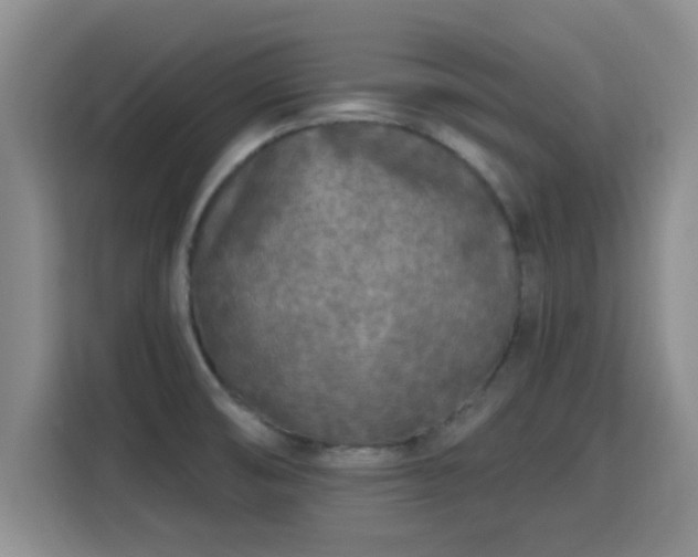 X0000115691474200911191104