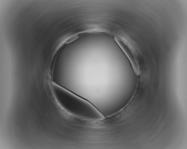 X0000115691476200911191104