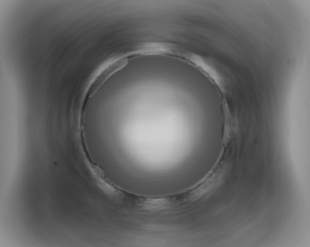 X0000115691477200911191104