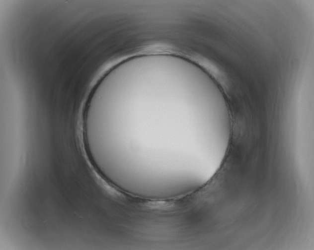 X0000115691478200911191104
