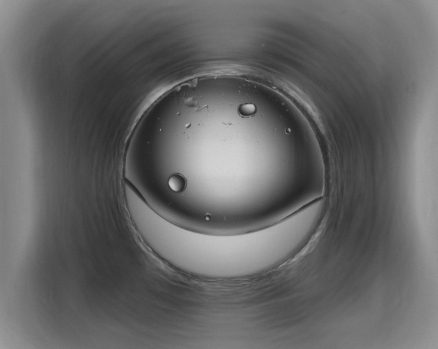 X0000115691481200911191104