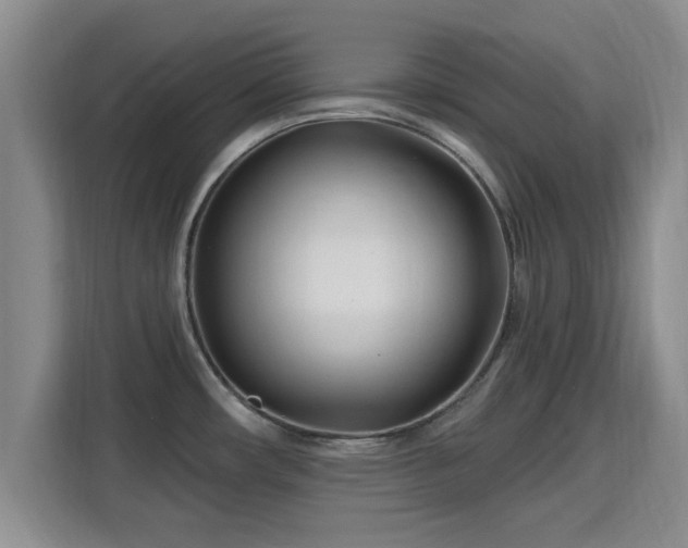 X0000115691482200911191104