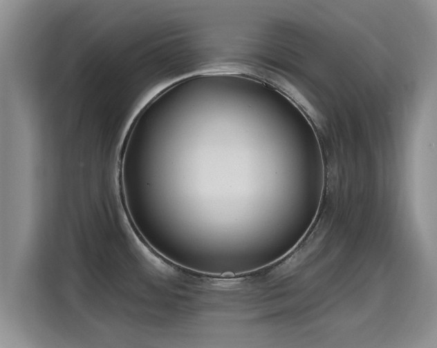 X0000115691484200911191104