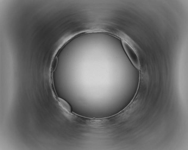 X0000115691485200911191104