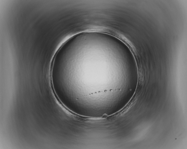 X0000115691487200911191104