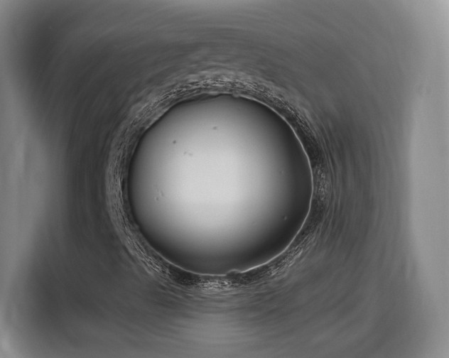 X0000115691489200911191103