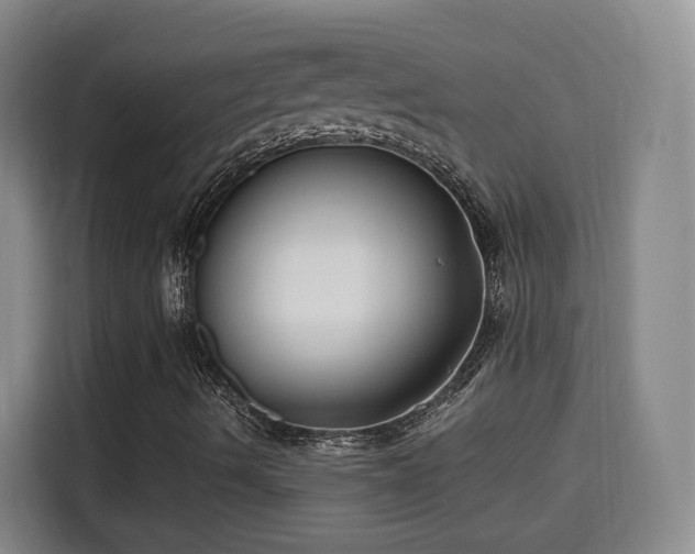 X0000115691490200911191103