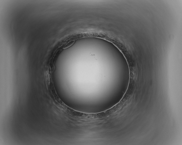 X0000115691493200911191103