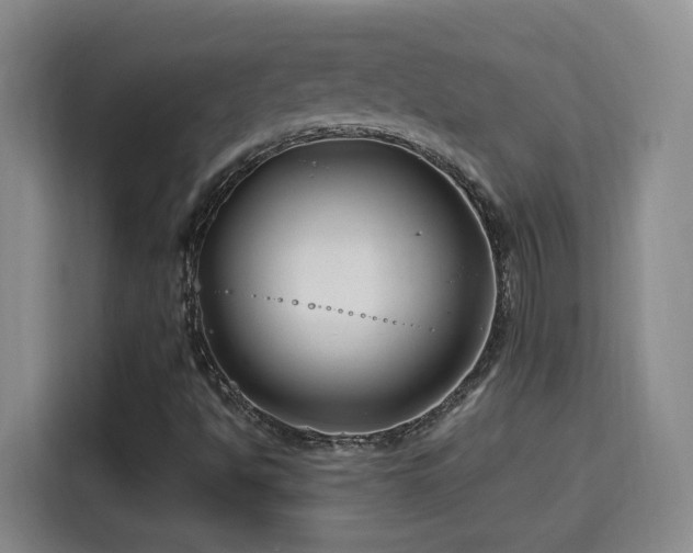 X0000115691494200911191103