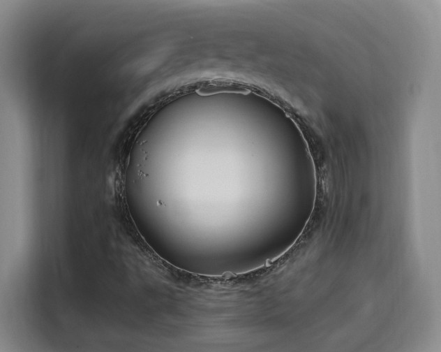 X0000115691495200911191103