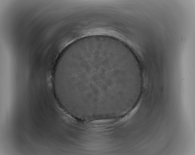 X0000115691497200911191103