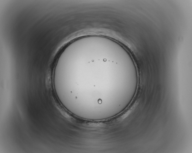 X0000115691498200911191103