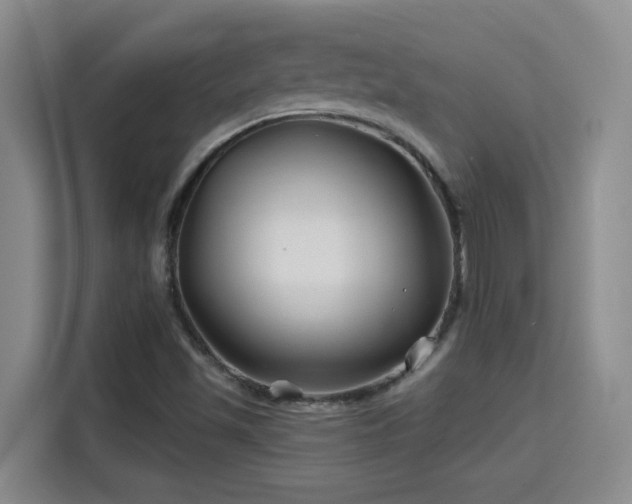 X0000115691501200911191103