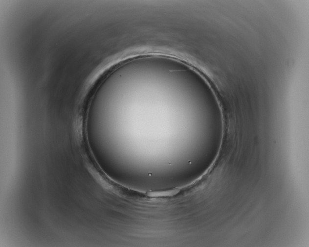 X0000115691503200911191103