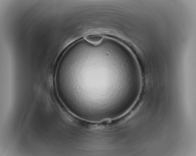 X0000115691505200911191103