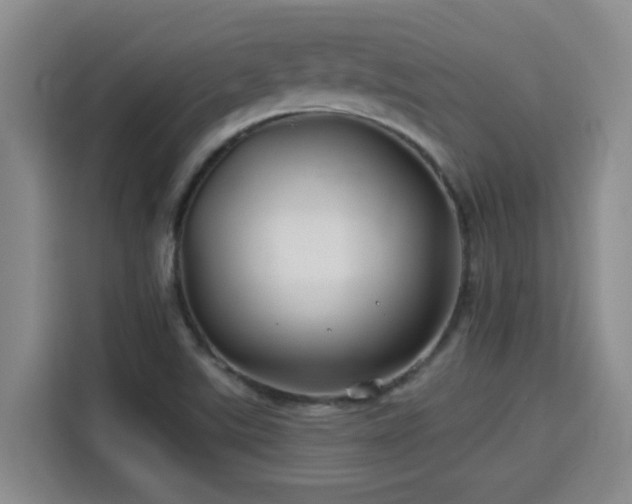 X0000115691507200911191103