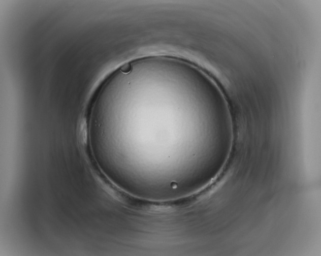 X0000115691509200911191103