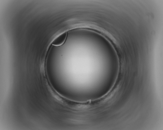 X0000115691513200911191103
