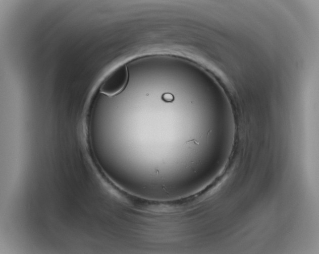 X0000115691517200911191104