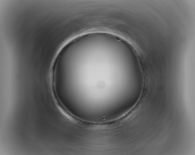 X0000115691519200911191104