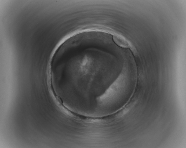 X0000115691522200911191104