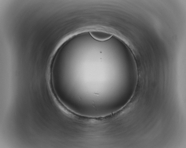X0000115691523200911191104