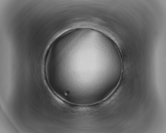 X0000115691525200911191104