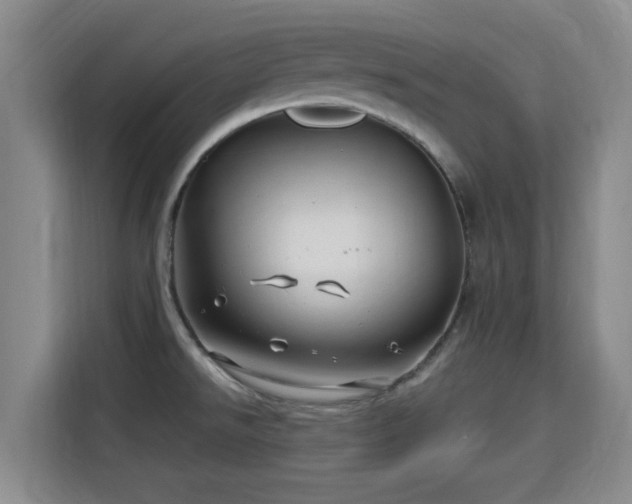 X0000115691526200911191104