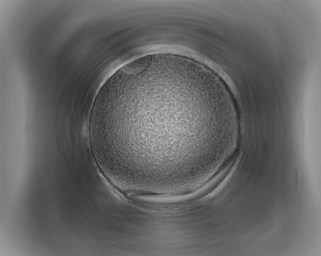 X0000115691529200911191104
