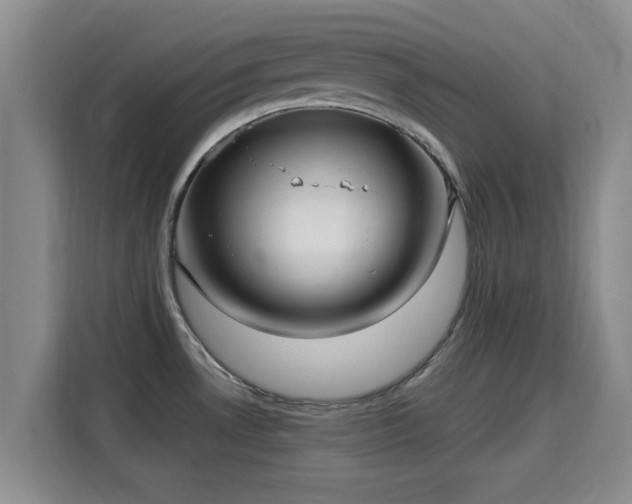 X0000115691530200911191104