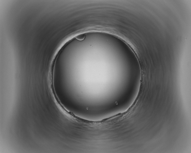 X0000115691531200911191104