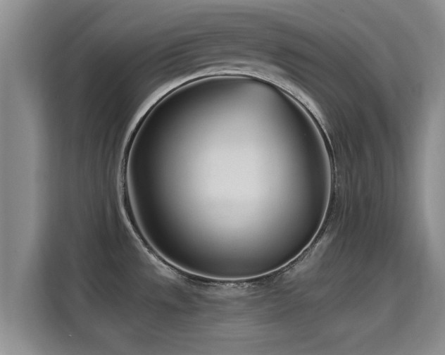 X0000115691533200911191104