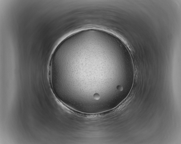X0000115691535200911191104