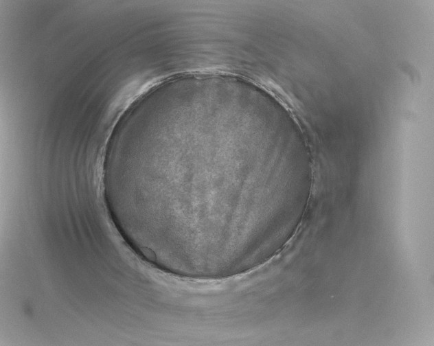 X0000115690002200911251823