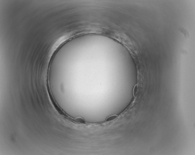 X0000115690003200911251823