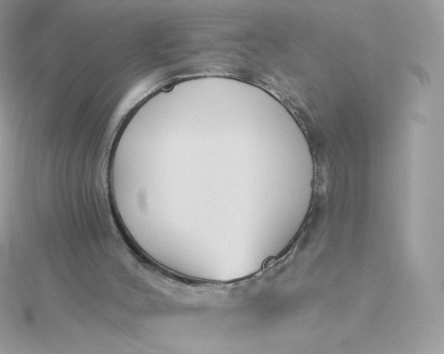 X0000115690004200911251823