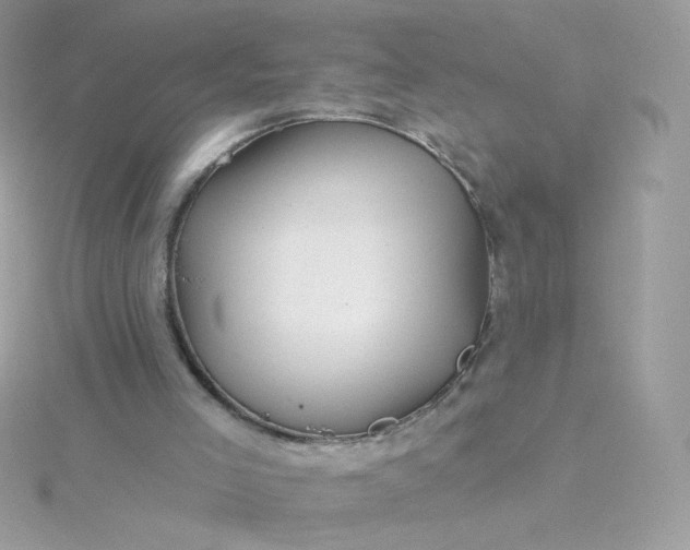 X0000115690005200911251823