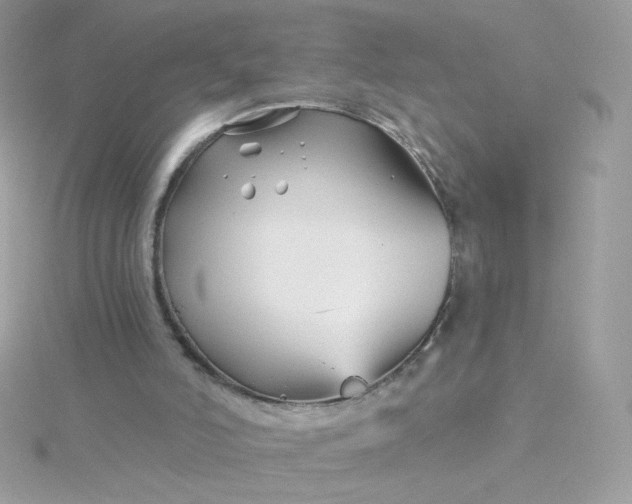 X0000115690006200911251823