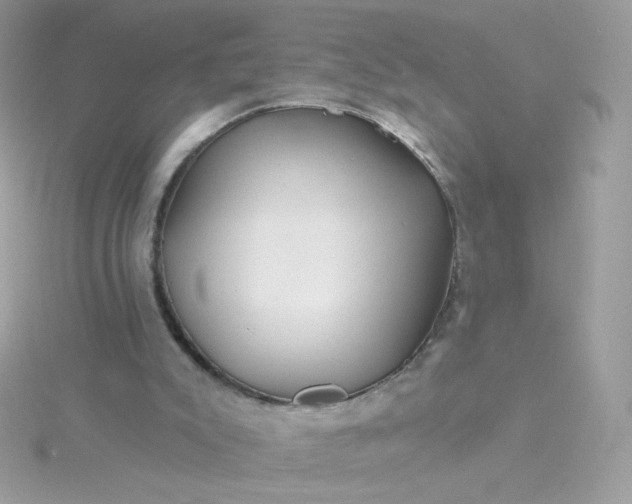 X0000115690007200911251823