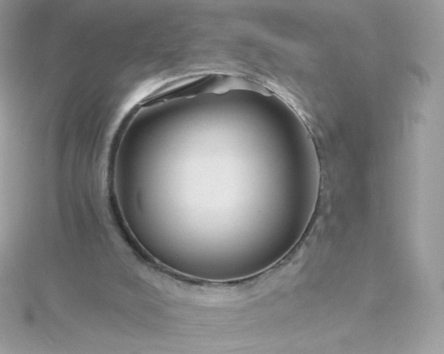 X0000115690008200911251823