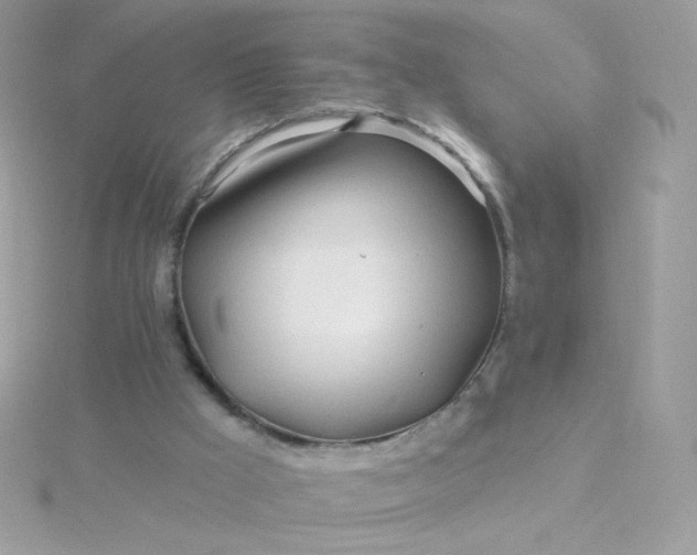 X0000115690009200911251823